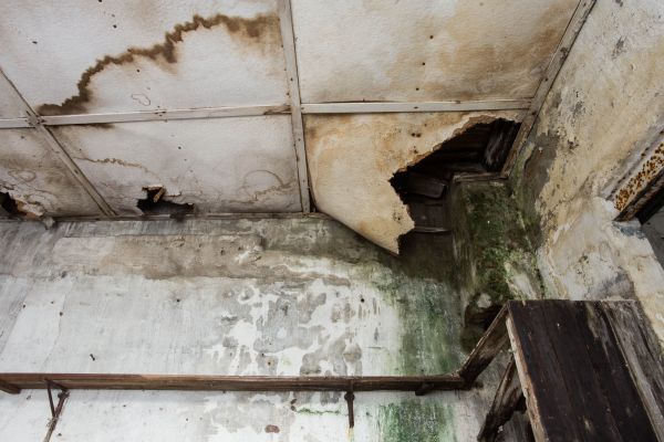 Water Damage Service in Jeffersonville