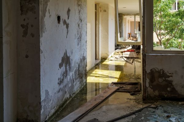 Water Removal Service in Jeffersonville