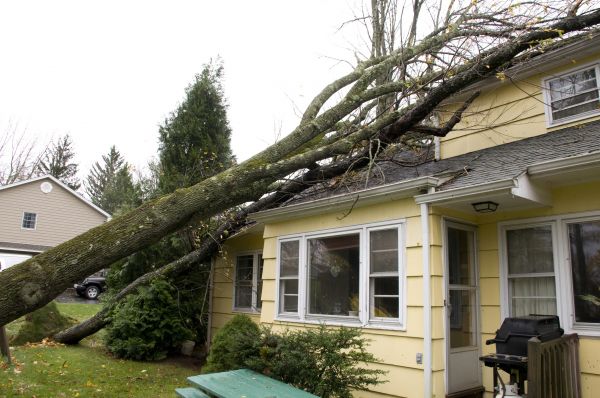 Hurricane Damage Repair in Jeffersonville